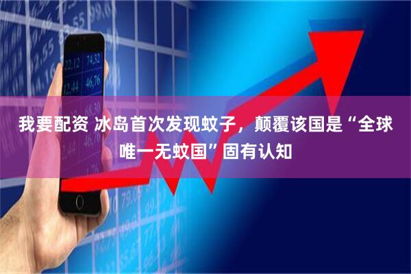 我要配资 冰岛首次发现蚊子,颠覆该国是“全球唯一无蚊国”固有认知