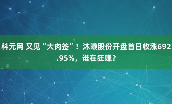 科元网 又见“大肉签”！沐曦股份开盘首日收涨692.95%，谁在狂赚？