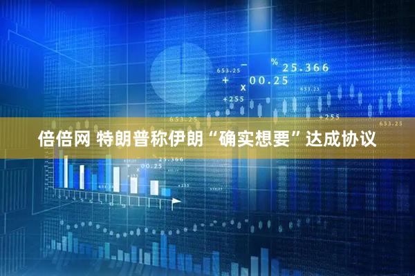 倍倍网 特朗普称伊朗“确实想要”达成协议